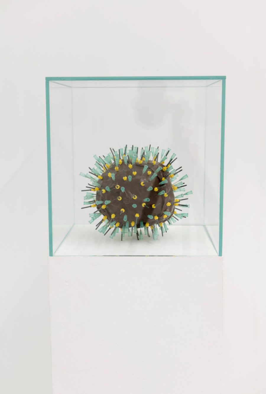 Virus