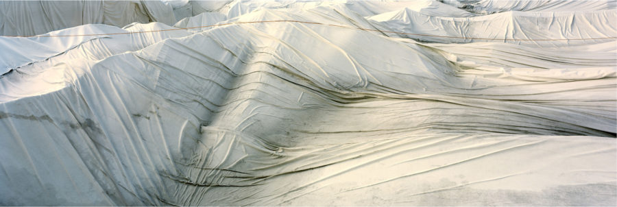 Untitled 4